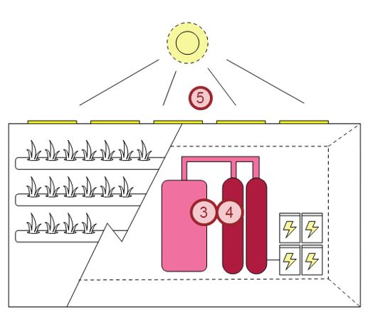 Diagram of how the NEWgenerator works