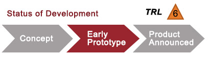 Status of development: early prototype